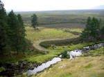 Glenmore