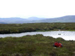 Summit pool