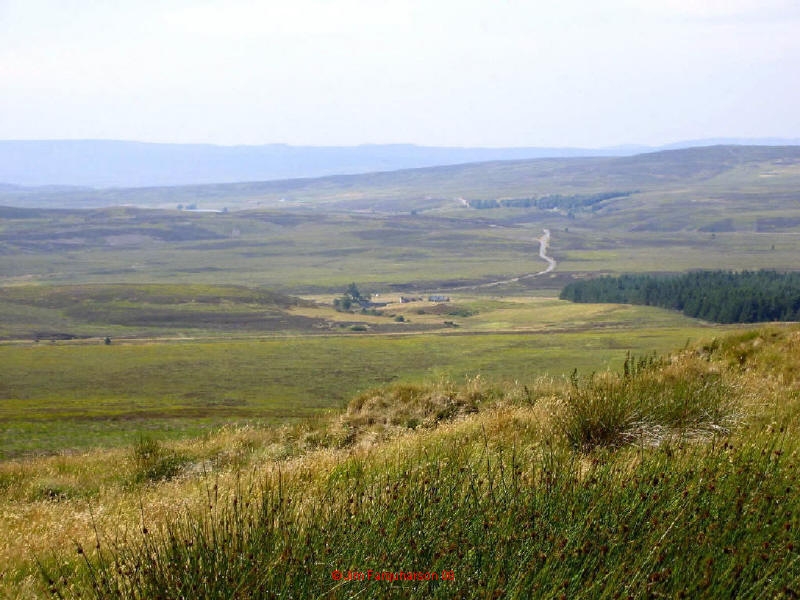 Dava 1