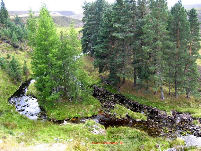 Glenmore 2
