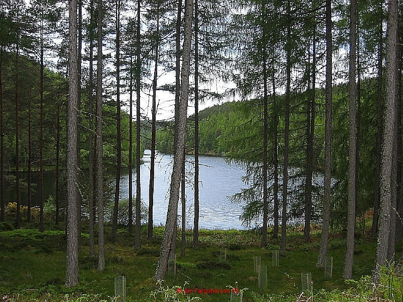 Loch Romach