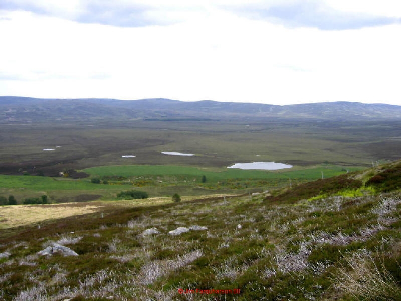 Moidach