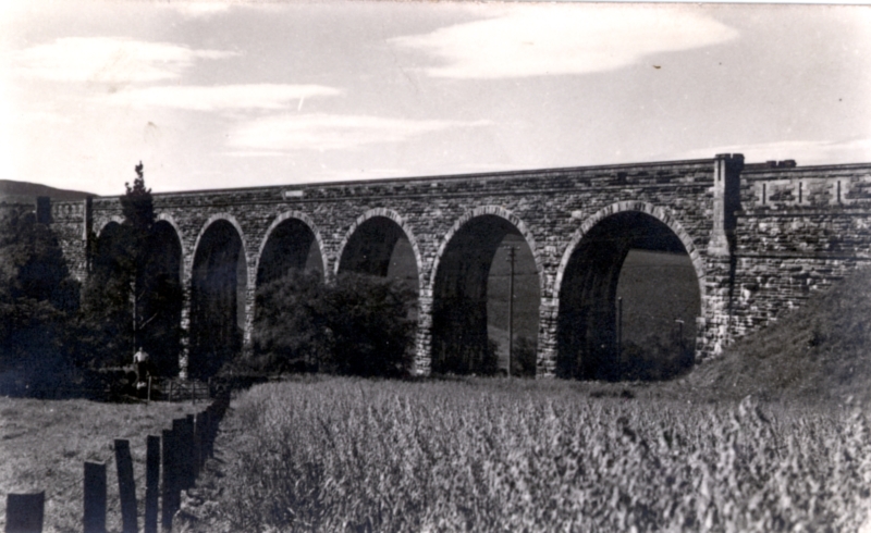 Viaduct 1